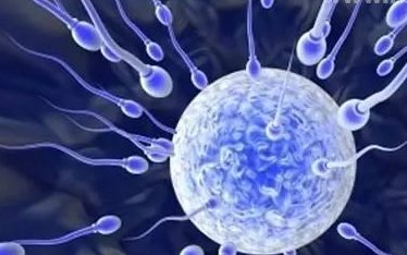 2026年浙江省杭州市最大的正规助孕机构排行榜出来了！