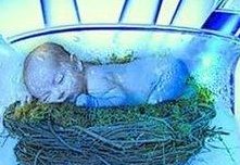 借助科技的力量，nic医院的三代试管技术助您生育