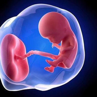 2026年国内无结婚证如何做试管？天津医科大学总医院可以做吗？