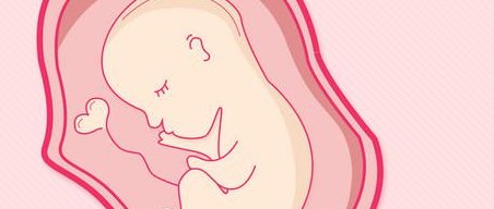 长春做二代试管婴儿选胚胎的费用概览及风险注意事项