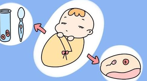 做试管孩子选择要多少钱？做第三代试管婴儿没有优质胚胎怎么回事？