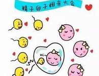 2026年想去珠海市做试管婴儿需要准备哪些事？详细收费明细一览