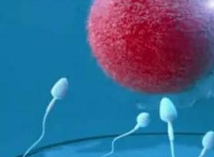 第三代试管婴儿多少钱？医保是否报销一目了然